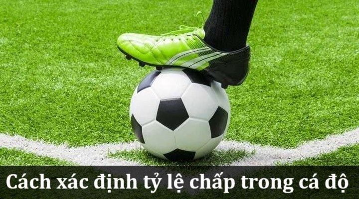 Tip cược chấp bóng đá chính xác luôn ăn tiền nhà cái