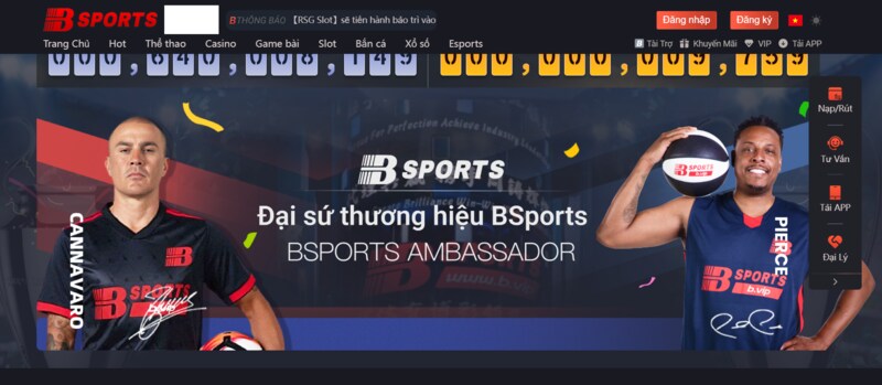 Thông tin về nhà cái Bsport
