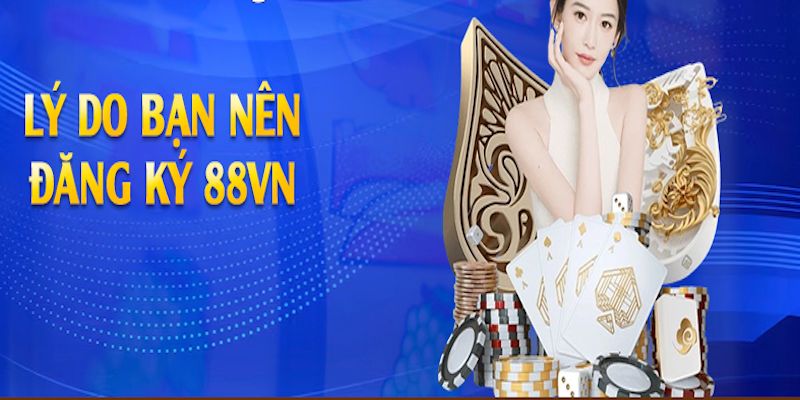 Đánh giá hệ thống bảo mật thông tin người dùng 88VN