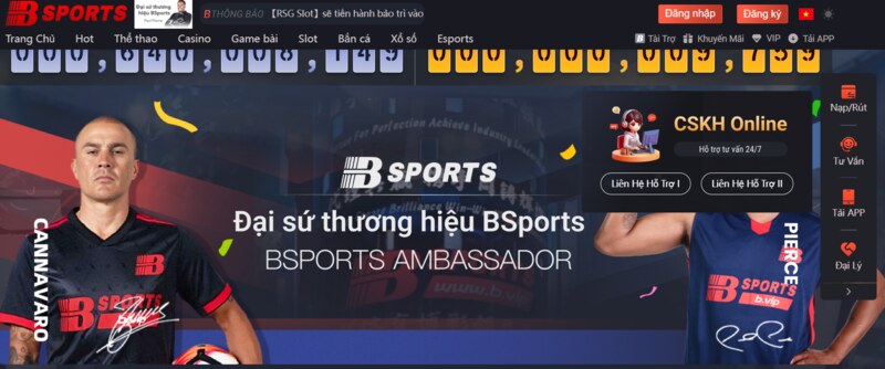 Liên hệ CSKH Bsport